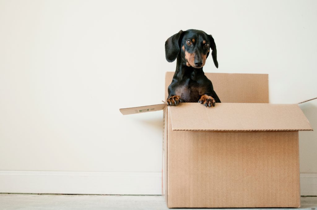 Descubra como a organização da sua casa e vida refletem muito